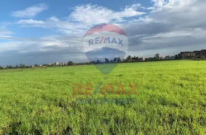 مزرعة - استوديو للبيع في كفر الشيخ - كفر الشيخ