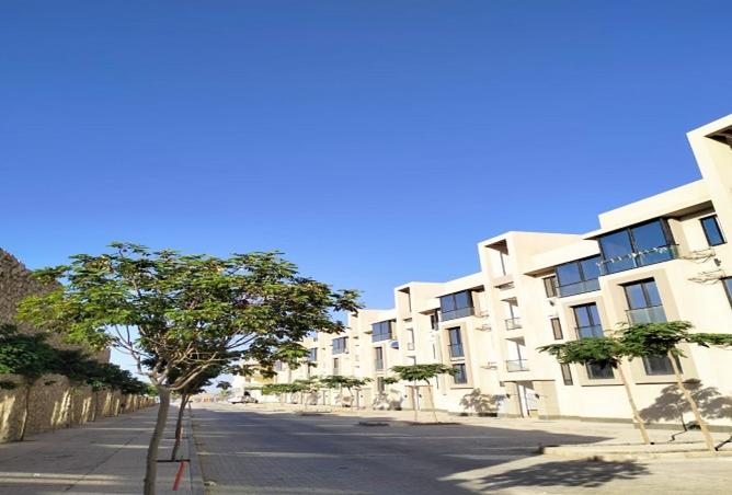 8478866 - Property Image 3