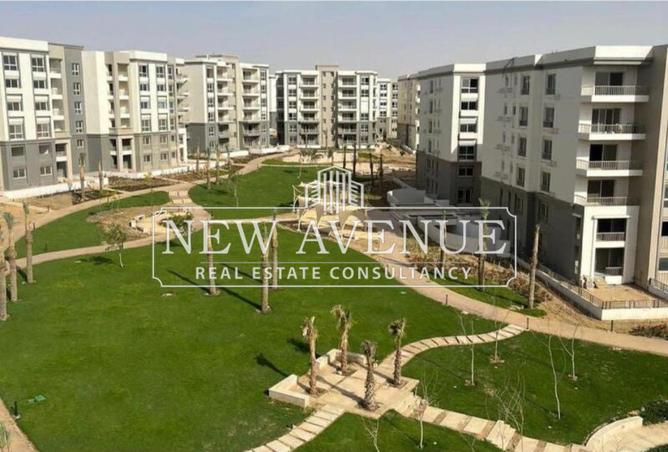 8128195 - صورة العقار 3