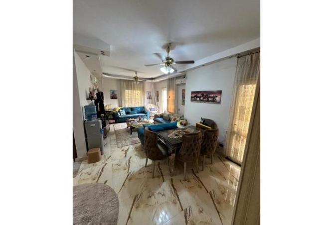8040203 - Property Image 3