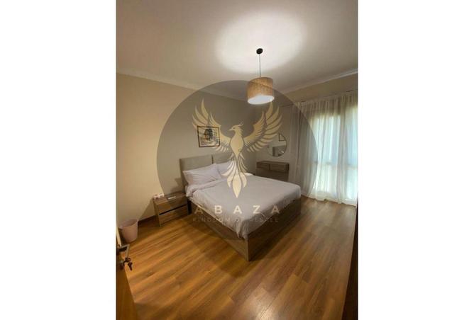 7927589 - Property Image 3