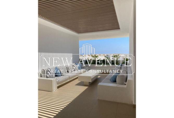 8491427 - Property Image 3