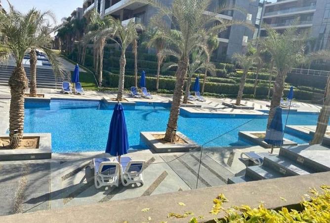 8337444 - صورة العقار 3