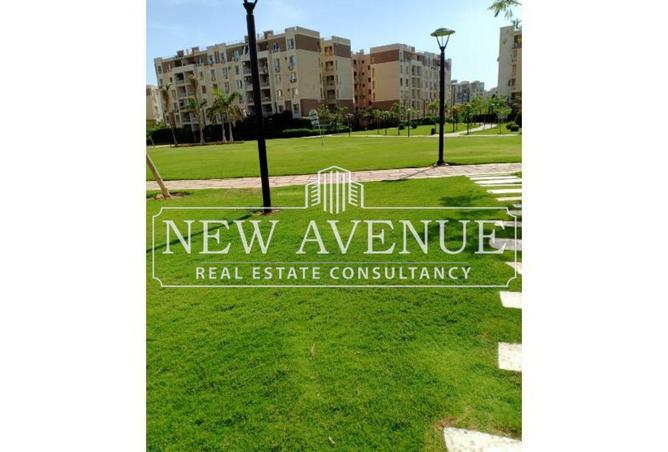 8251441 - Property Image 3