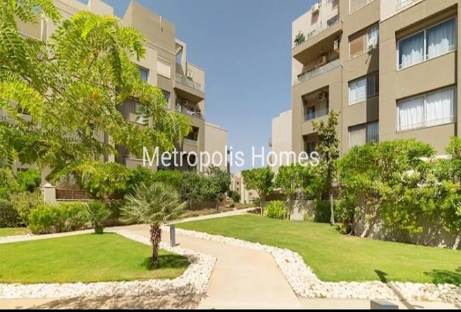 8114374 - Property Image 2