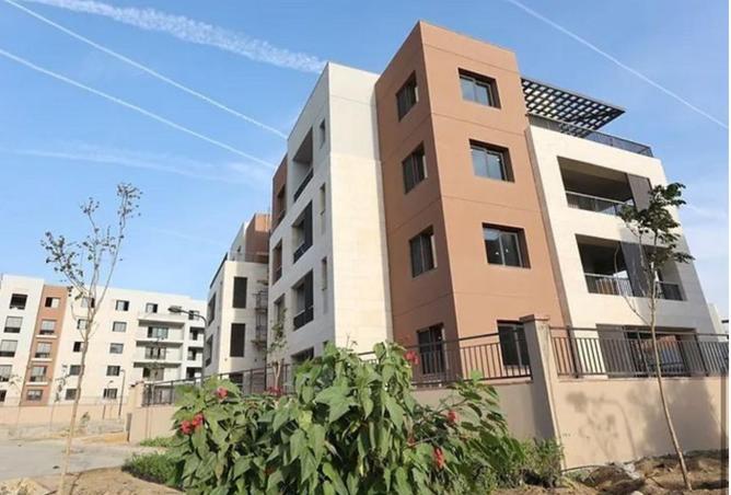 8044713 - Property Image 3