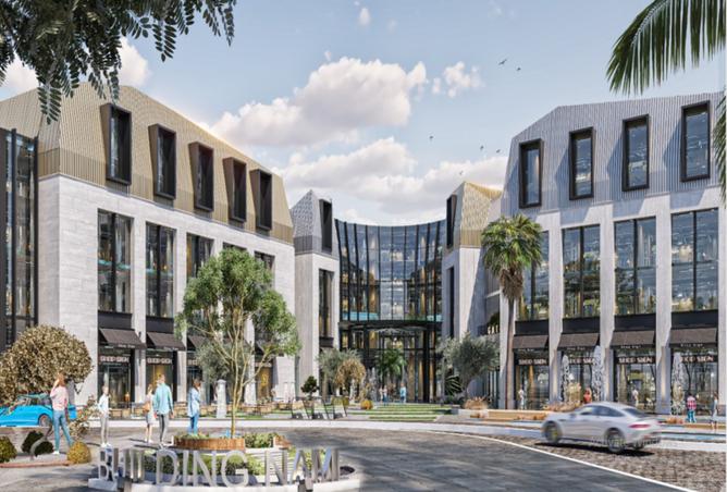 8195504 - Property Image 3