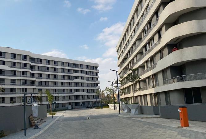 8186174 - Property Image 2