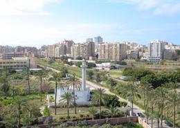 Apartment - 4 bedrooms for للبيع in شارع مدرسة الريادة - Smouha - Hay Sharq - Alexandria