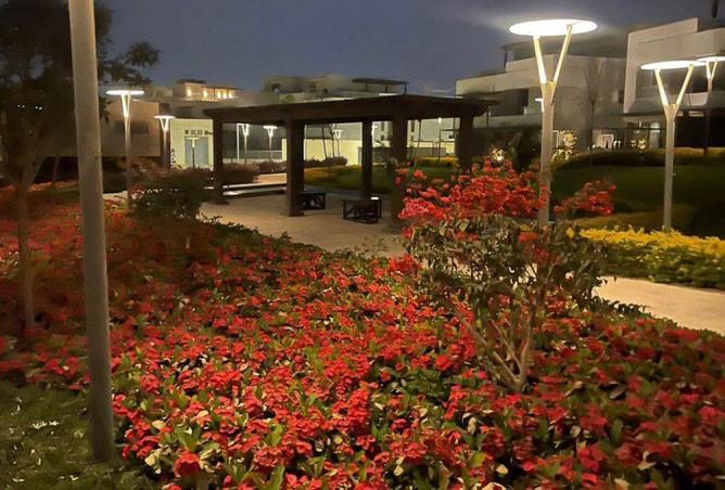 8165236 - صورة العقار 3