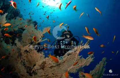 Twin House - 2 Bedrooms - 2 Bathrooms for sale in Mesca - Soma Bay - Safaga - Hurghada - Red Sea