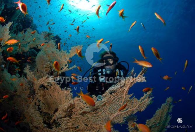 7905694 - صورة العقار 3