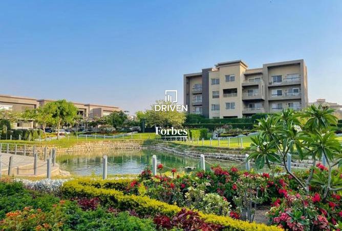 8235437 - صورة العقار 2