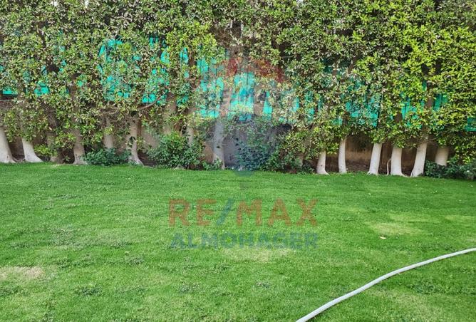 8048630 - صورة العقار 3