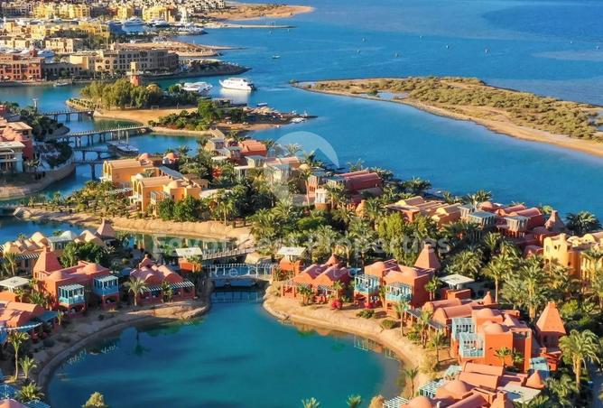 8179594 - صورة العقار 3