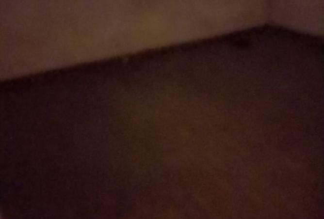 8492138 - صورة العقار 3