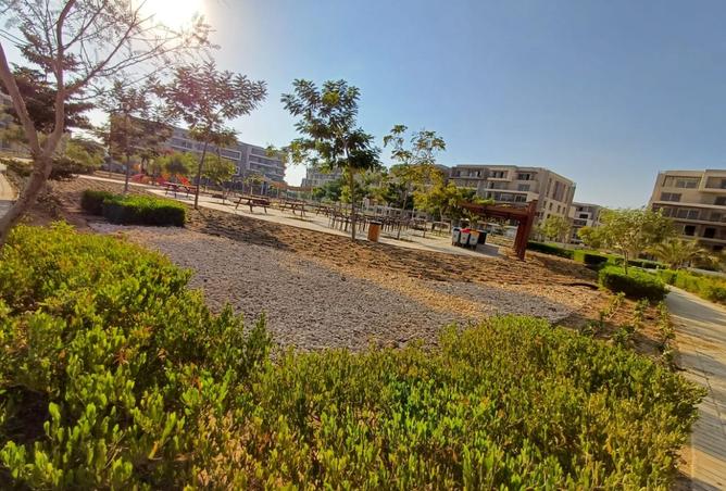 8114152 - Property Image 3