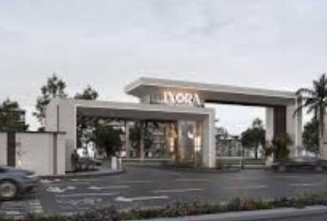 8497905 - Property Image 3