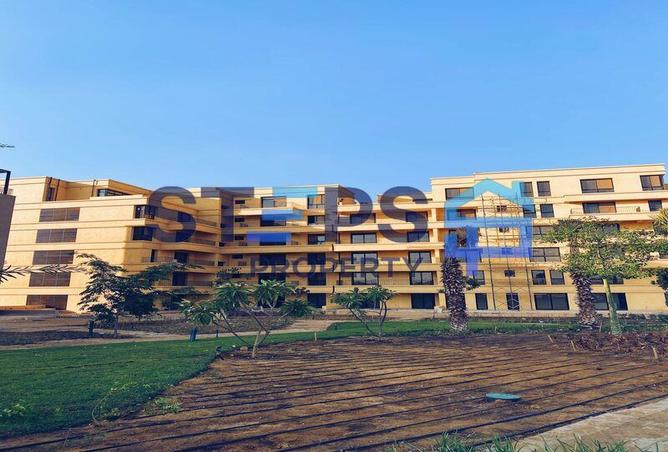 8166626 - صورة العقار 3