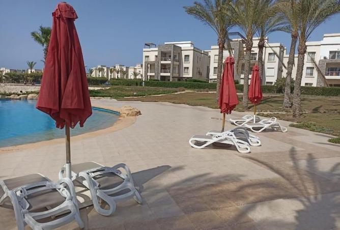 7899111 - Property Image 3