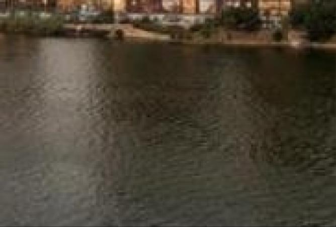7941013 - صورة العقار 2