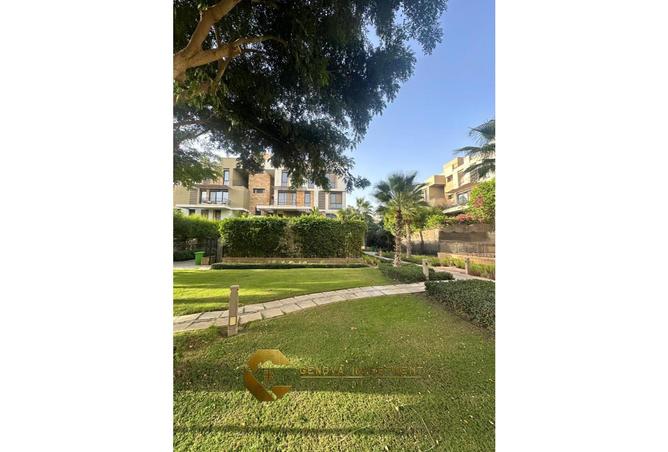 7988919 - Property Image 3