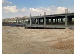 Shop - 1 bathroom for للبيع in Madinaty - Cairo