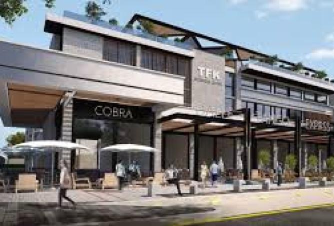 8162616 - Property Image 3