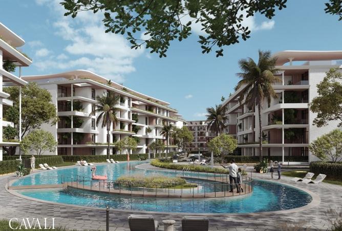 8200749 - Property Image 3