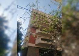 Apartment - 3 bedrooms - 3 bathrooms for للبيع in Khaleel Al Khayat Basha St. - Kafr Abdo - Roushdy - Hay Sharq - Alexandria