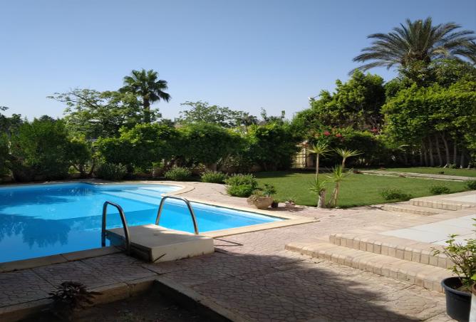 7980426 - Property Image 2