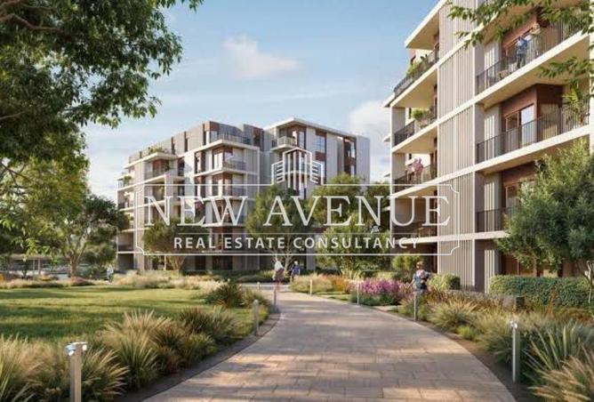 8107403 - Property Image 3