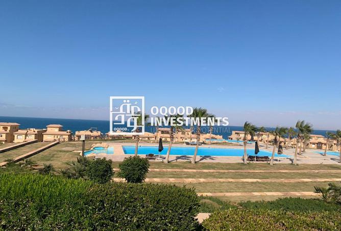 8413511 - Property Image 3