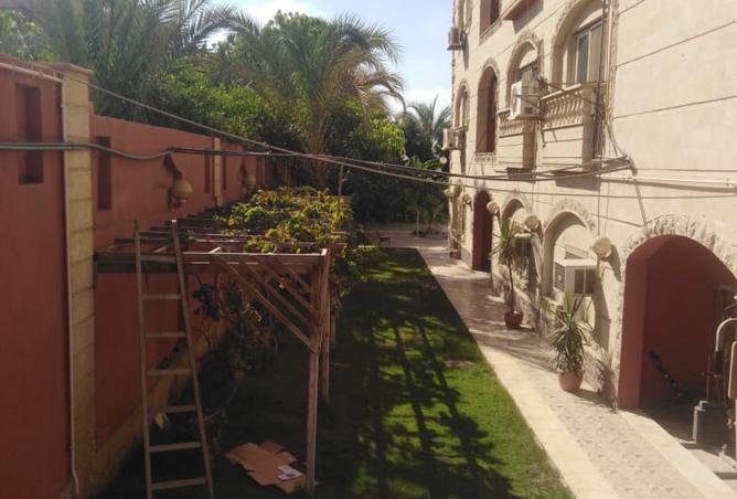 8115974 - صورة العقار 2