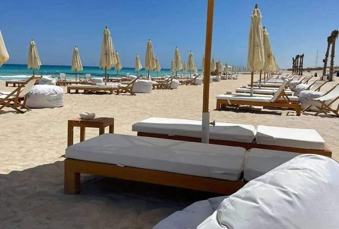 8167510 - Property Image 3