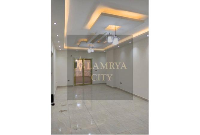 8367390 - Property Image 3