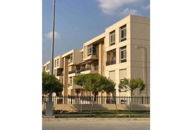 8418291 - Property Image 3