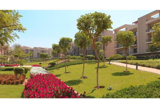 8433383 - صورة العقار 2