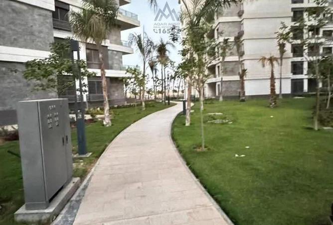 8035293 - Property Image 3