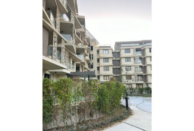 8176241 - صورة العقار 3