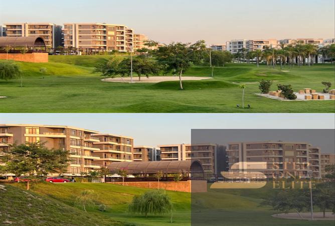 7981325 - Property Main Image