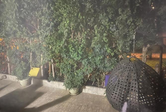 8252410 - Property Image 2