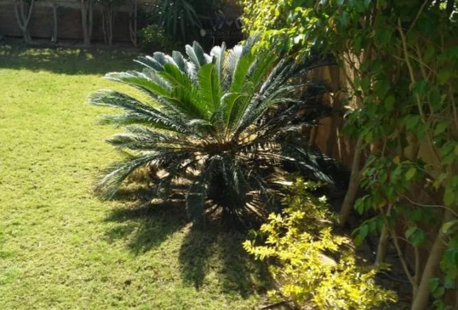 8391951 - صورة العقار 3