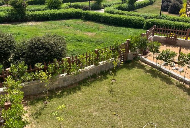 8164942 - صورة العقار 2