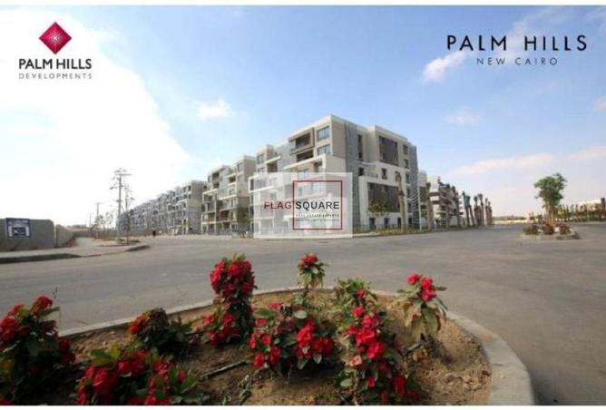 8563233 - Property Image 3