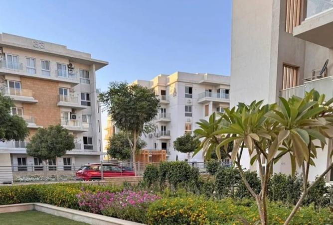 8286532 - Property Image 2