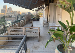 Brilliant Apartment With Terrace In Zamalek .