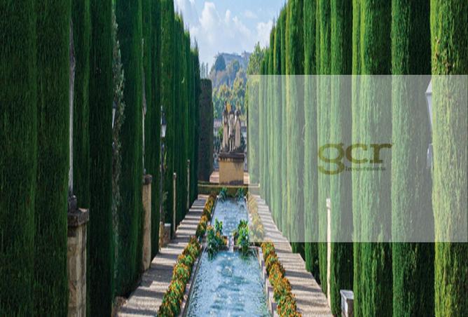 8183483 - Property Image 2