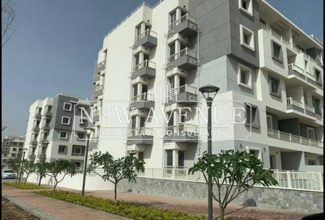 8044507 - Property Image 3