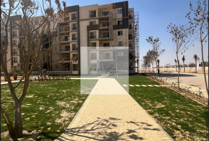 8393456 - Property Image 3